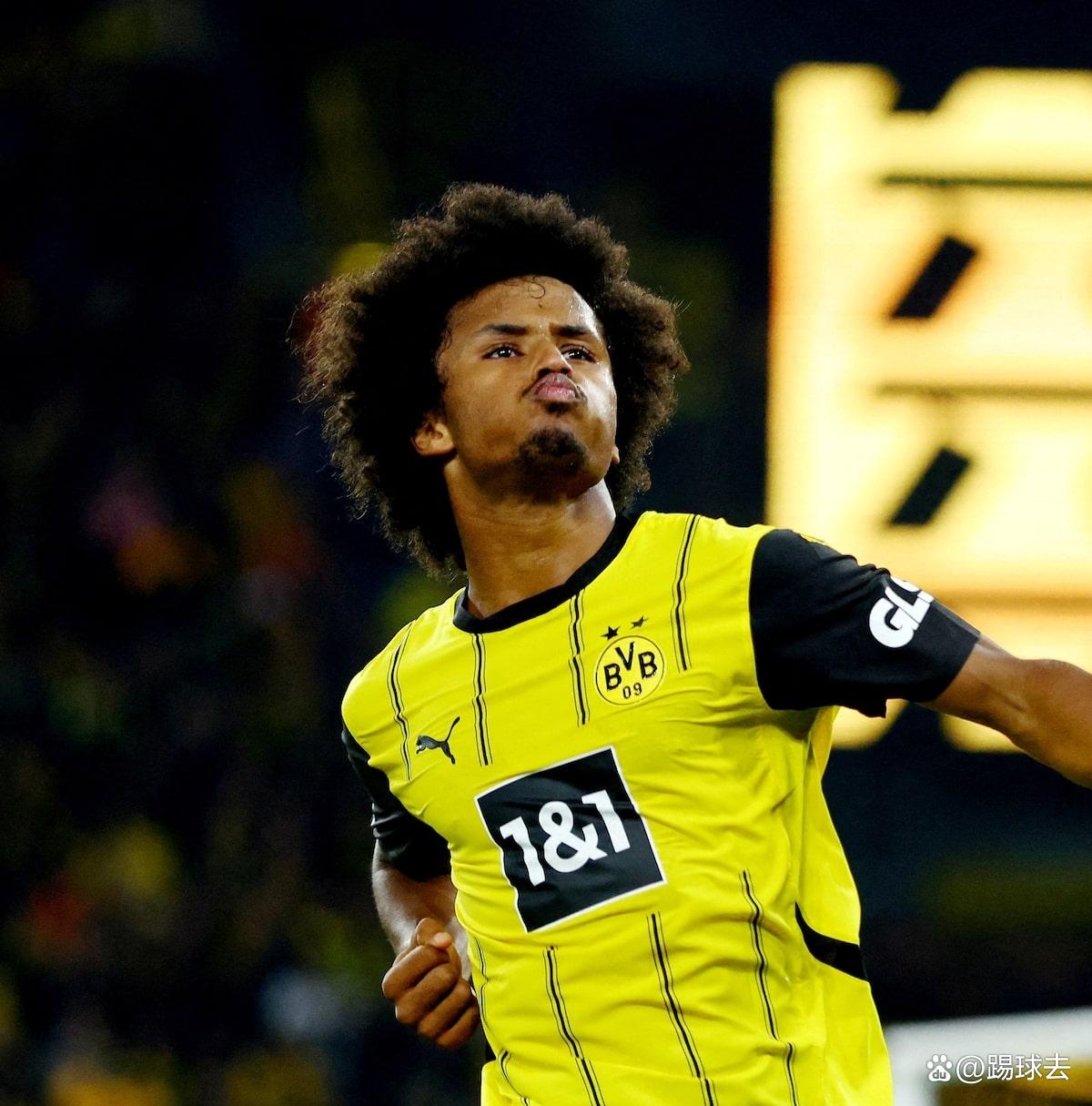 霍芬海姆击败多特蒙德,提前锁定欧冠资格的简单介绍 霍芬海姆击败多特蒙德,提前锁定欧冠资格的简单介绍