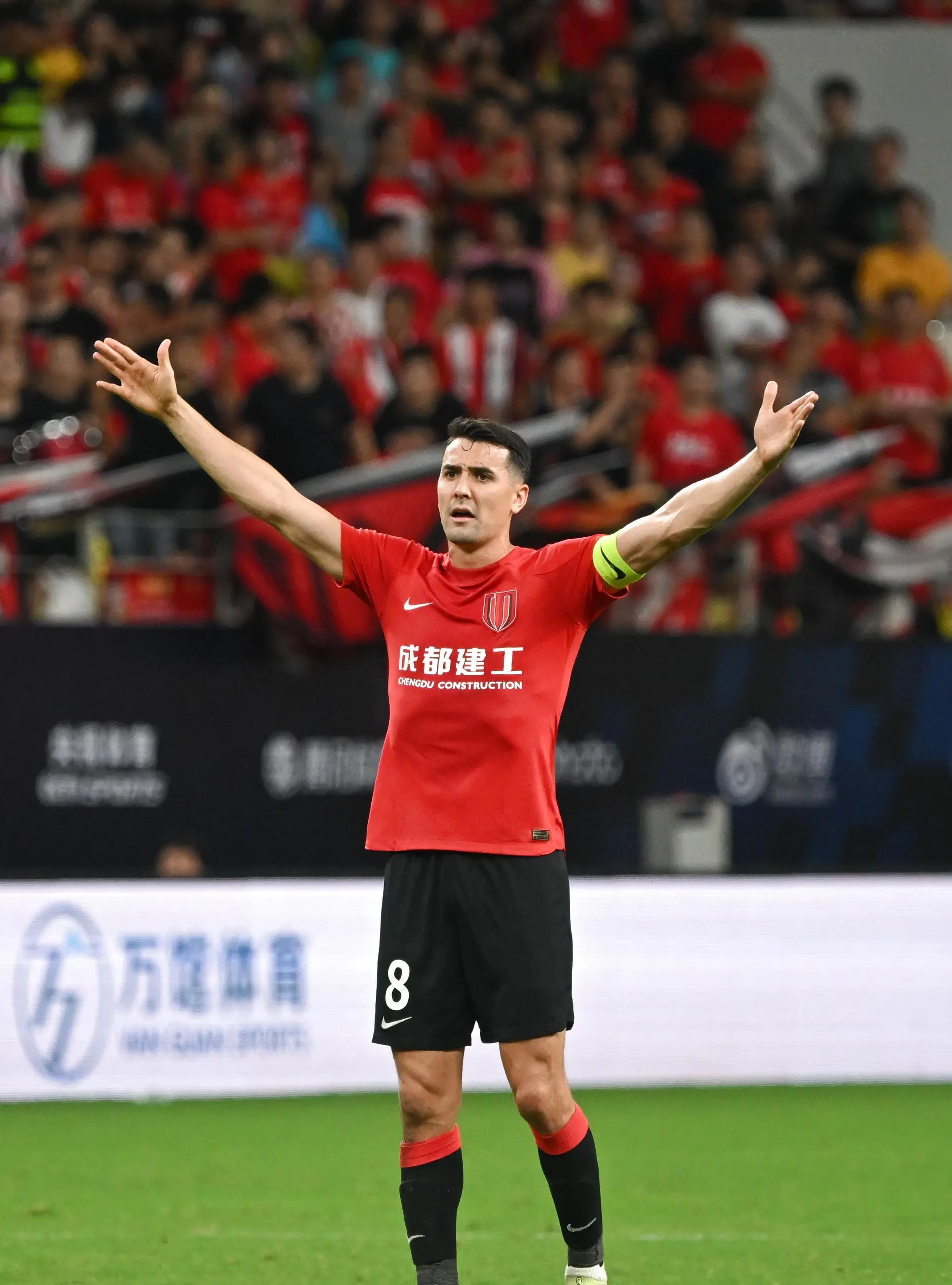 国家队主力球员轮番进球，表现稳定受认可的简单介绍